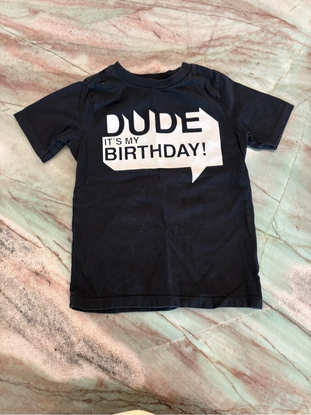 The Children's Place Navy Tee with White "Dude It's My Birthday!" Graphic